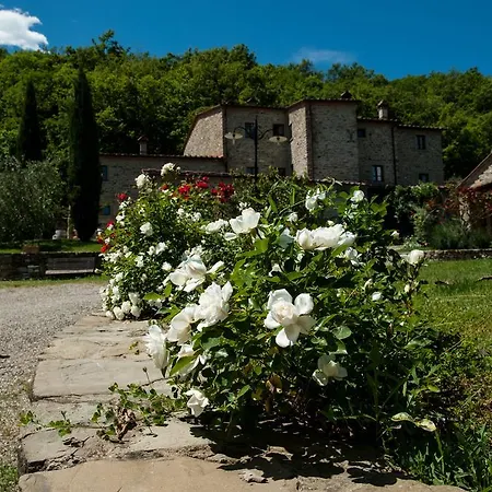 Azienda Agricola Il Pozzo Bauernhof Capolona