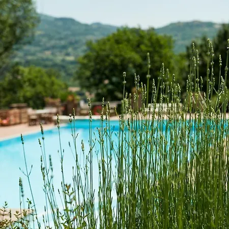 Azienda Agricola Il Pozzo Capolona
