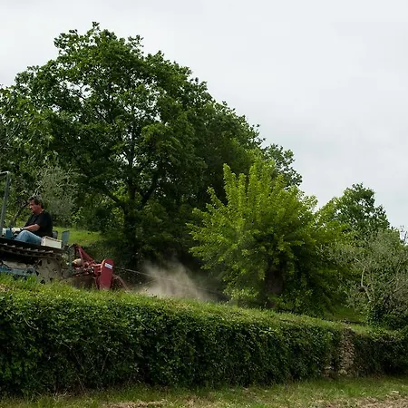 Azienda Agricola Il Pozzo Bauernhof