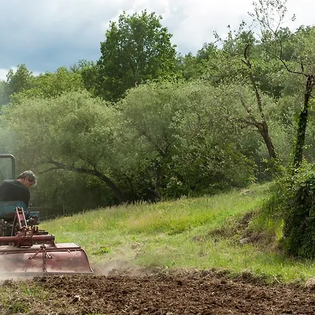 Azienda Agricola Il Pozzo Capolona