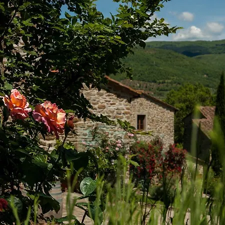 Azienda Agricola Il Pozzo * Capolona